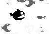 Big Fish Little Fish