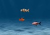 Franky The Fish 2