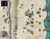 Beach Assault