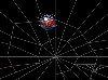 Arachnophilia