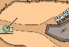 Field Command 2