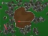 Defend Your Dirt