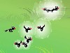 Skunk Blaster