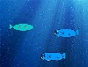 Submarine Smash