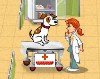 Pet Vet