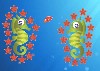 Star Fish