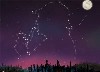 Starlight 2