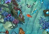 Zippy Fish