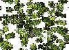 Green Tree Puzzle