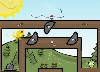 Explo Birds