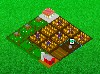 Best Farm
