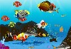 Water World