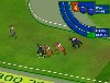 Horse Race