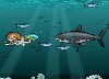 Sharks Adventure