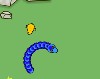 Snaket